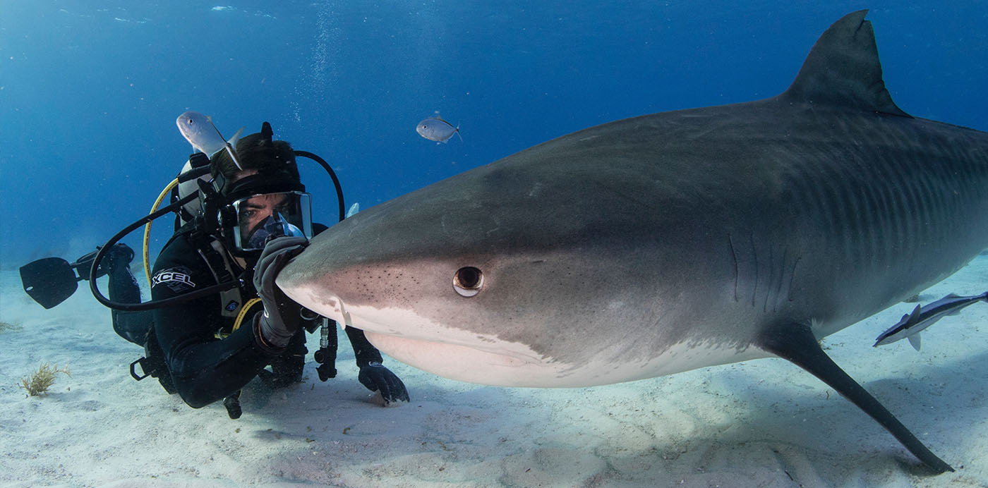 6 Questions with Eli Roth