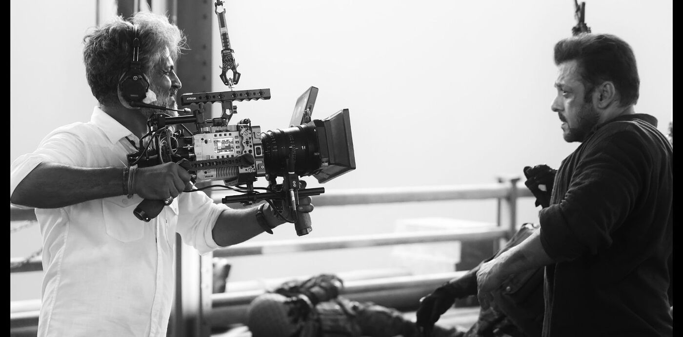 Celebrating Cinematic Brilliance: Anay Goswamy and Tiger 3