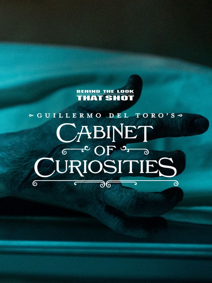 Cabinet Of Curiosities