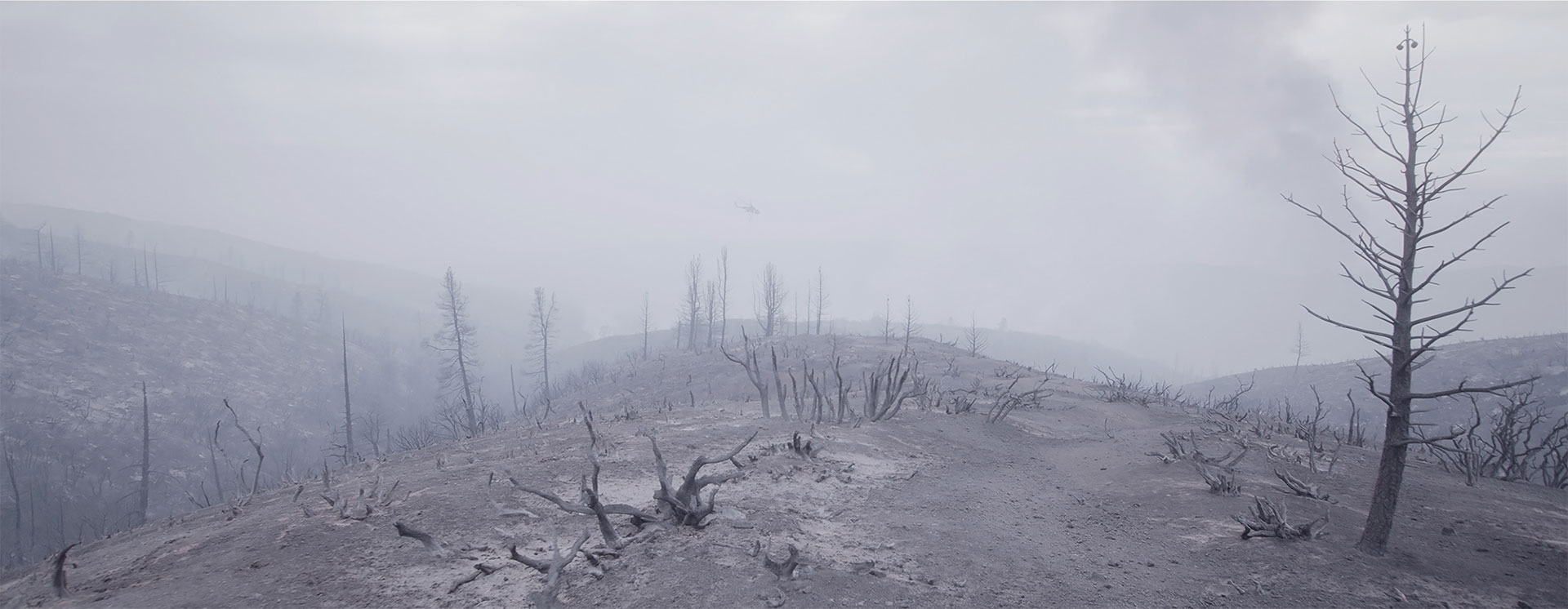 scorched landscape after a wildfire