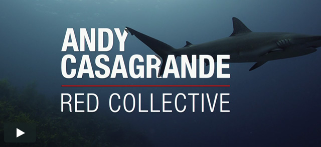RED Collective: Andy Casagrande
