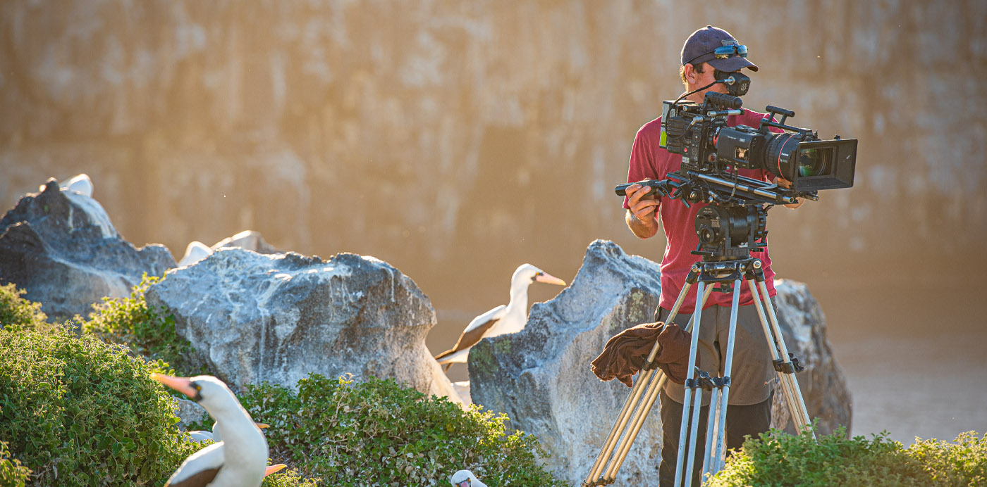 Eden: Untamed Planet