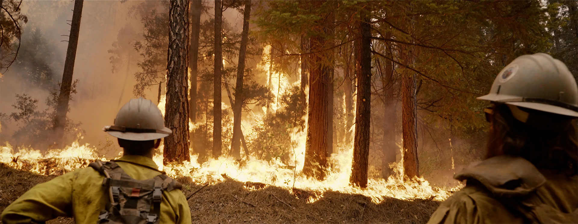 firefighters in front of forest fire