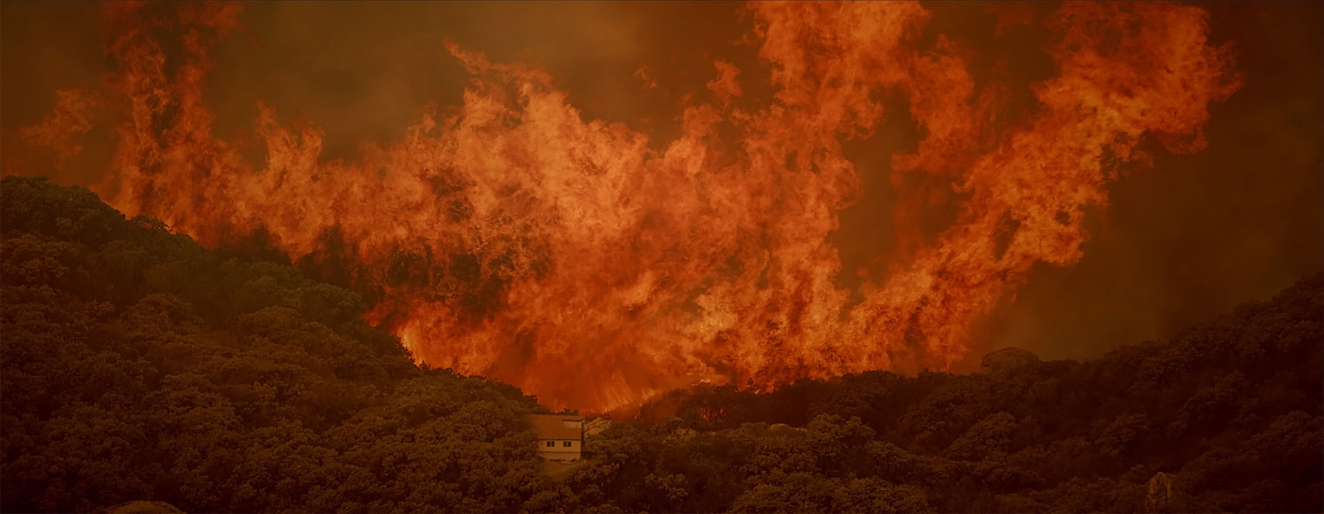 wide shot of flames engulfing the ridgeline of a forest