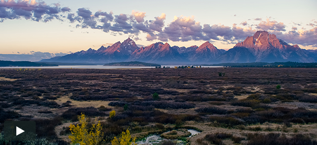 JHWFF shot on RED Winners