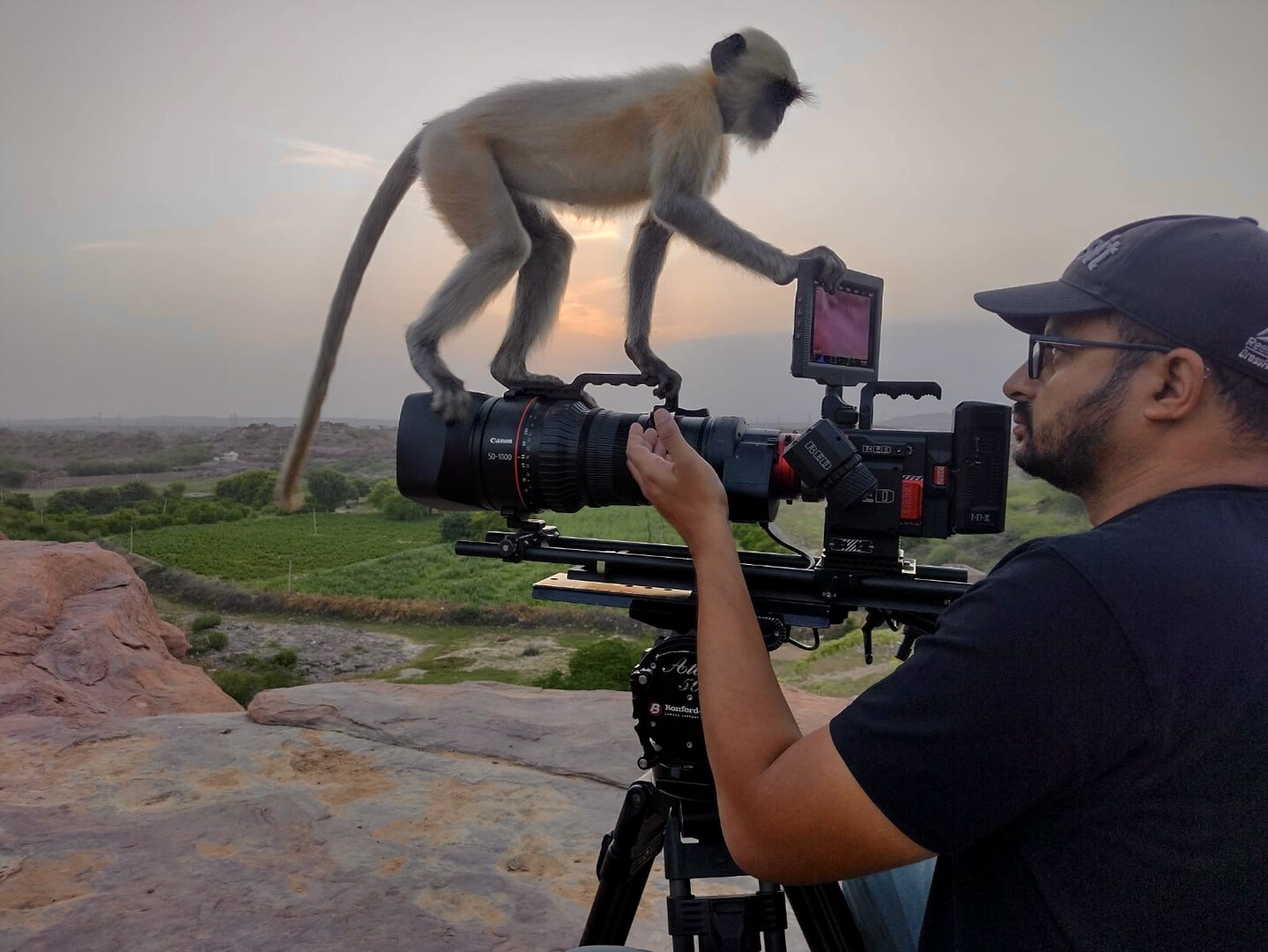 A monkey climbing on a camera tripod