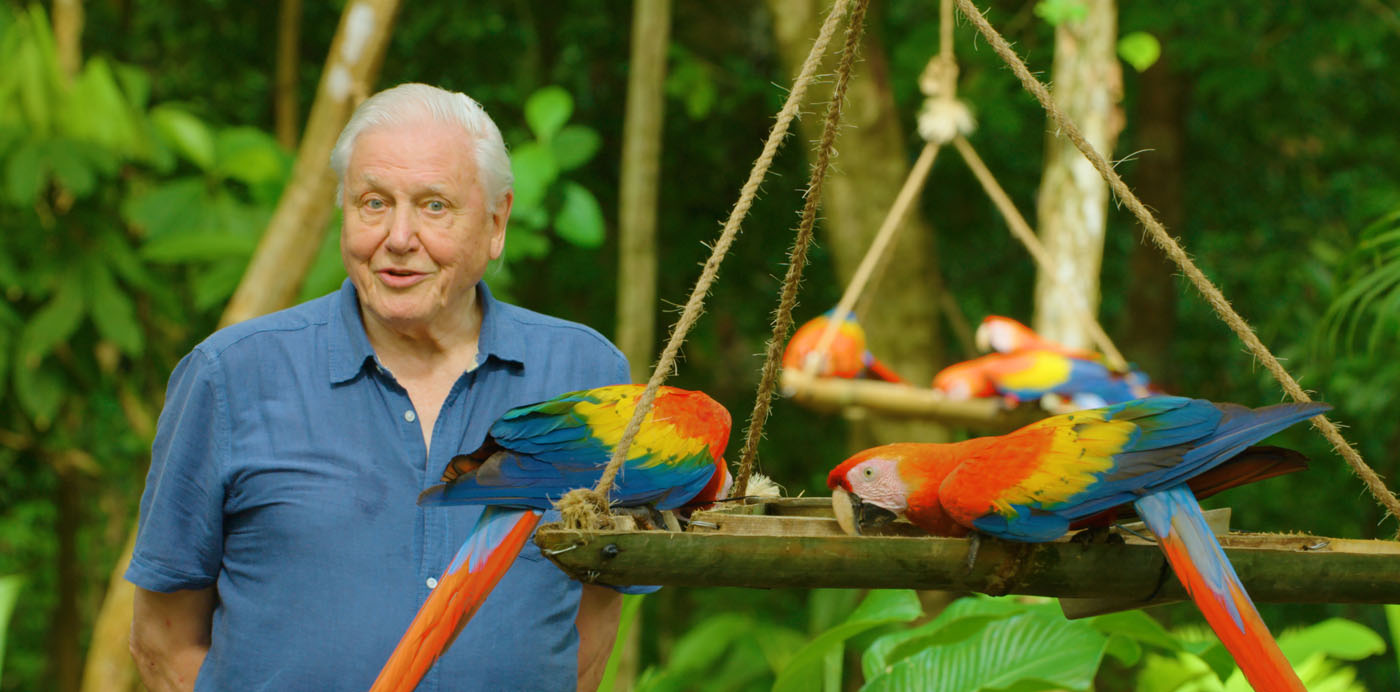 Life in Colour: A Glimpse into a New Spectrum