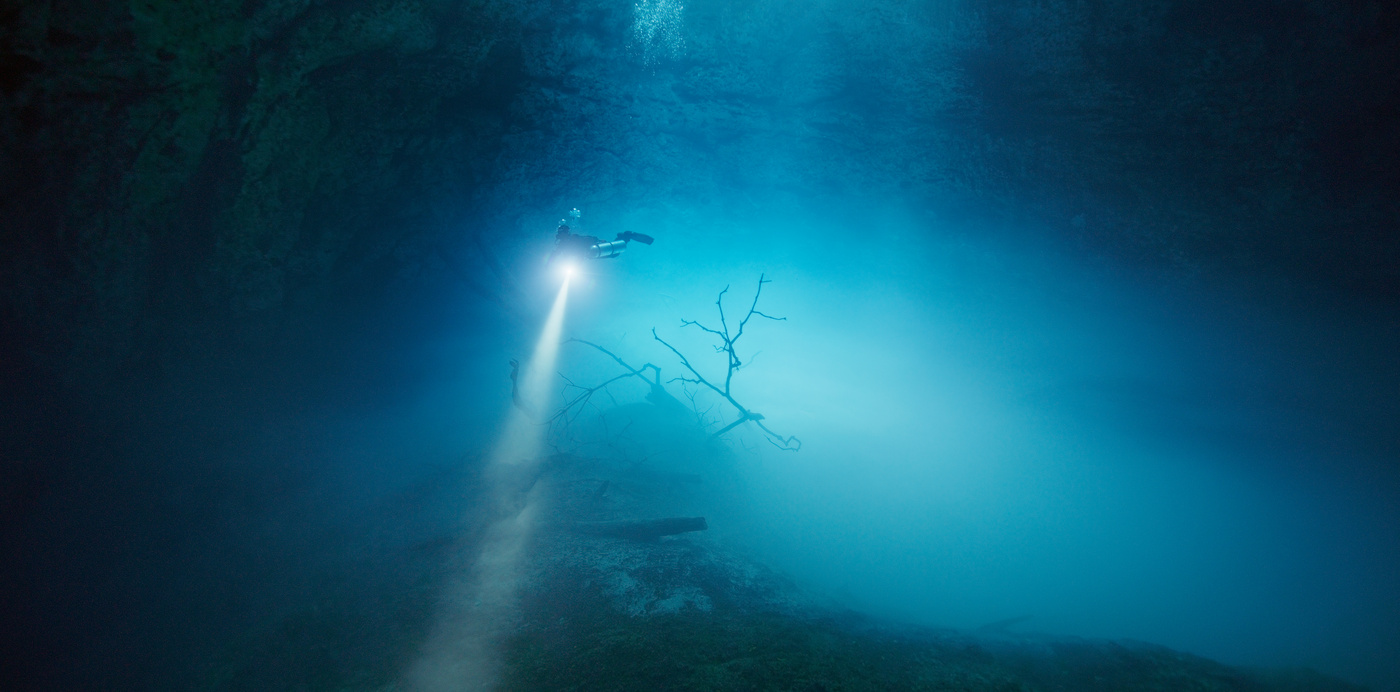 Unmatched Low‑Light Performance with V‑RAPTOR [X] Sensor