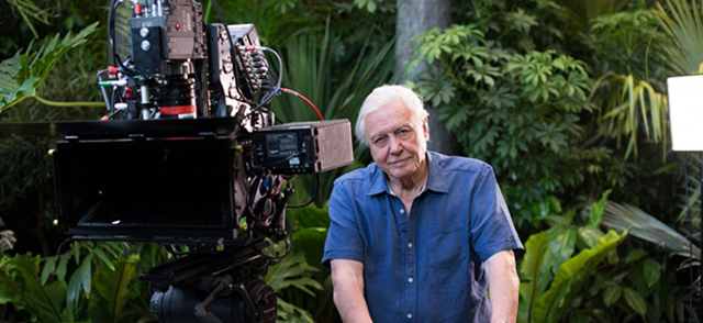 RED helps reveal the intricate world of bugs in "Micro Monsters 3D"