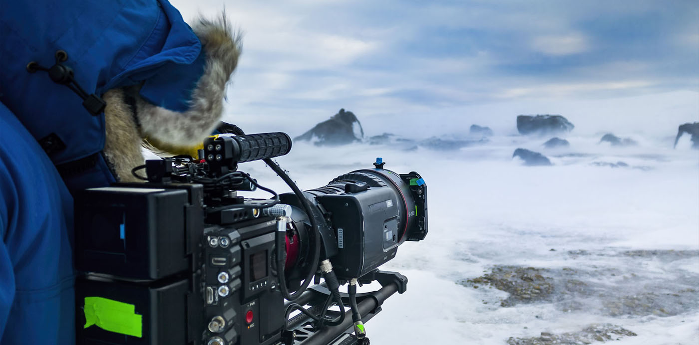 Polar Bear, Shooting on Ice