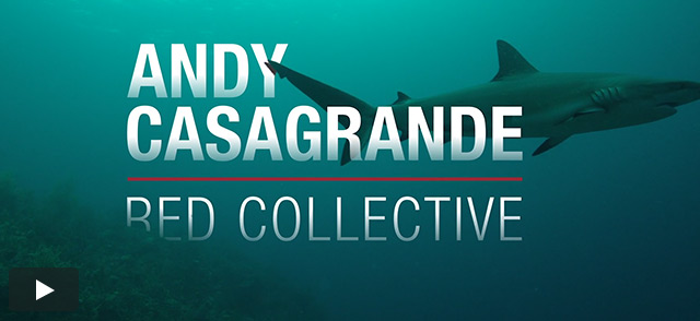 RED Collective: Andy Casagrande
