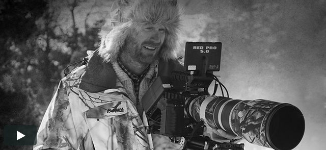 RED Collective: Asgeir Helgestad