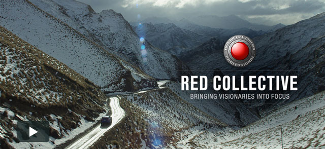 RED Collective: Mark Toia