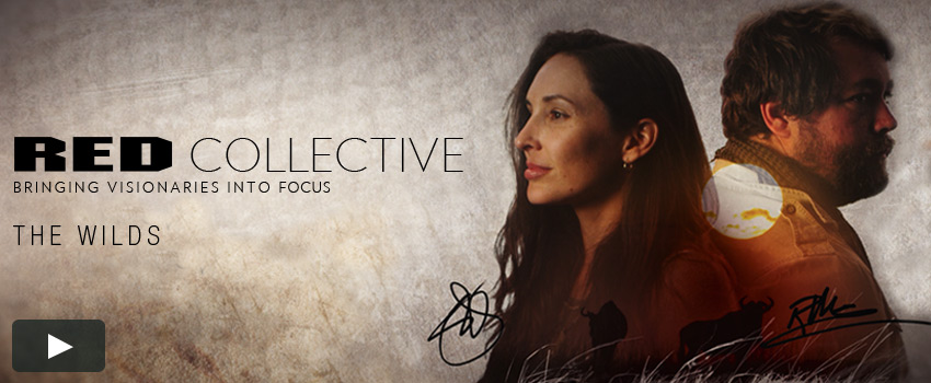 RED Collective: The Wilds