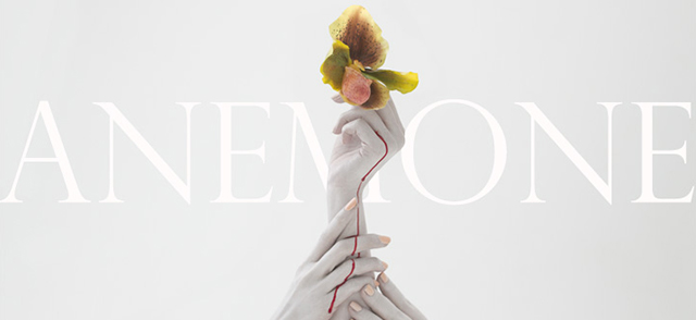 RED Congratulates Sao Paulo Fashion Film Festival Winner Amber Gray