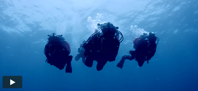 RED Dives Deep on Mission 31