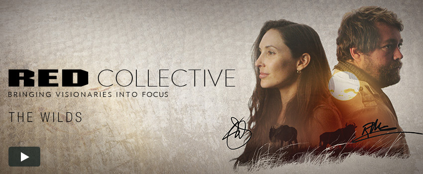 RED Collective: The Wilds