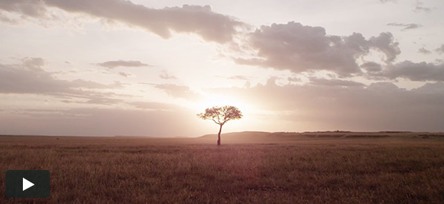 RED Collective: Ivan Agerton