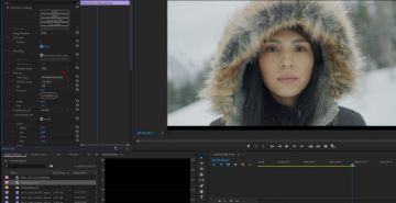 RED Tech Workflow - Premiere interface