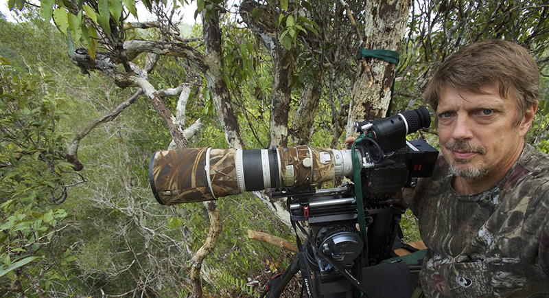 Tim Laman Talks Stills and Motion Capture With RED