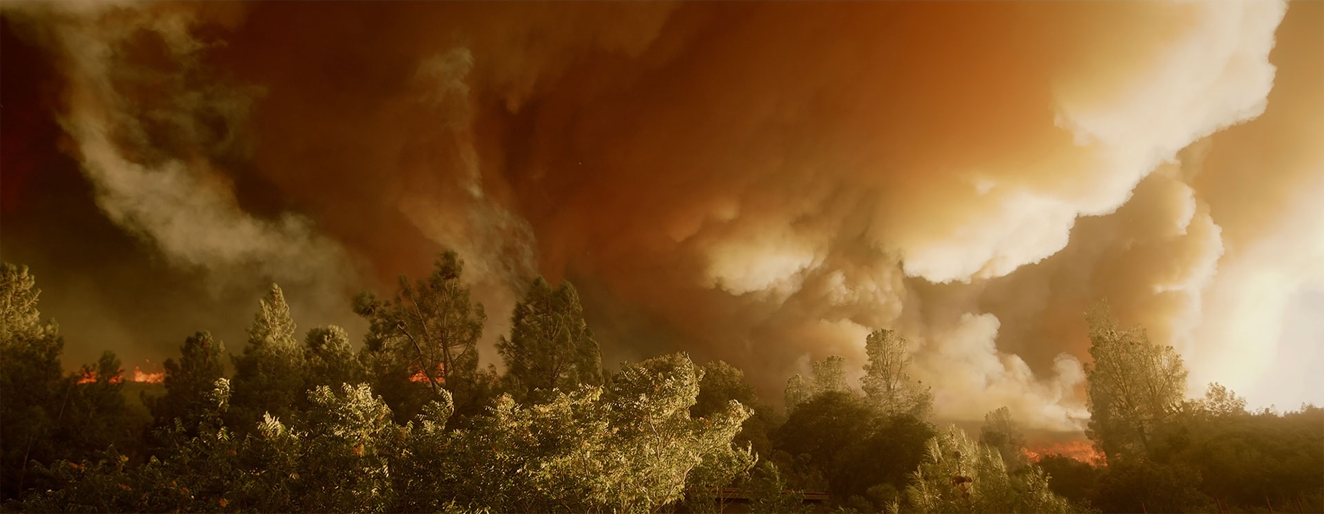 trees, flames and billowing smoke